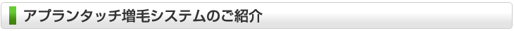 アプランタッチ増毛システムのご紹介