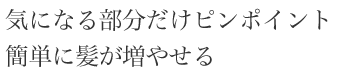 気になる部分だけピンポイント簡単に髪が増やせる