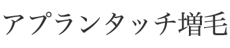 アプランタッチ増毛