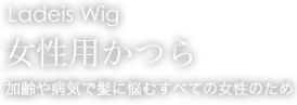 Ladeis Wig 女性用かつら 加齢や病気で髪に悩むすべての女性のため