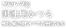 Mens Wig 男性用かつら 薄毛、髪に悩むすべての男性のため