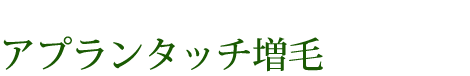 アプランタッチ増毛